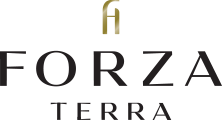 Forza hotels